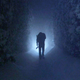 Illustration for article titled The Hotel From The Shining Wants You To Design Its Scary New Hedge Maze